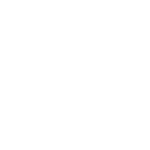 vanessa